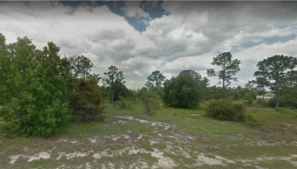 Listing Details for 1319 Congo Drive, POINCIANA, FL 34759