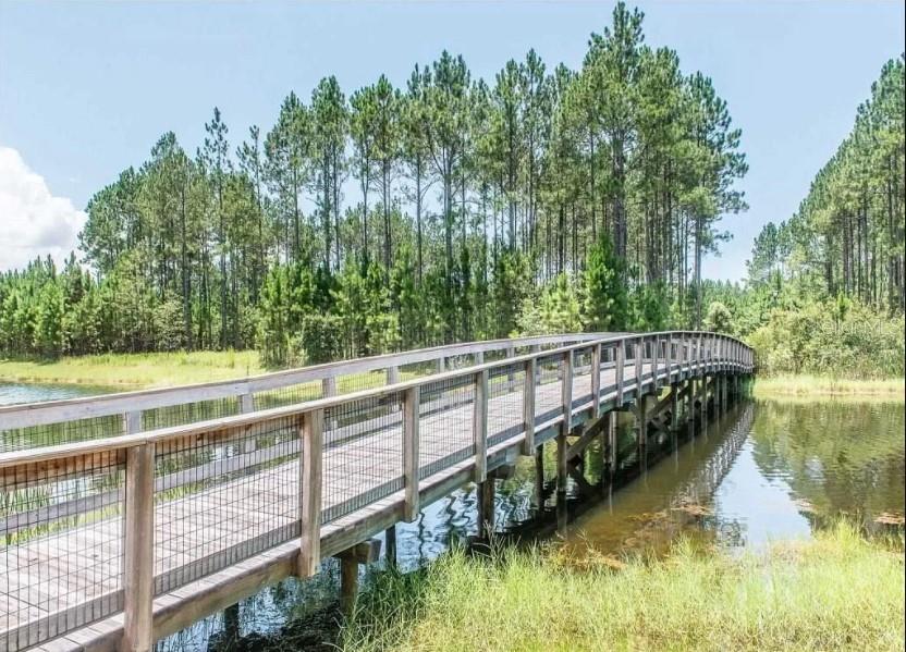 Details for Creek Pines Circle, WEWAHITCHKA, FL 32465