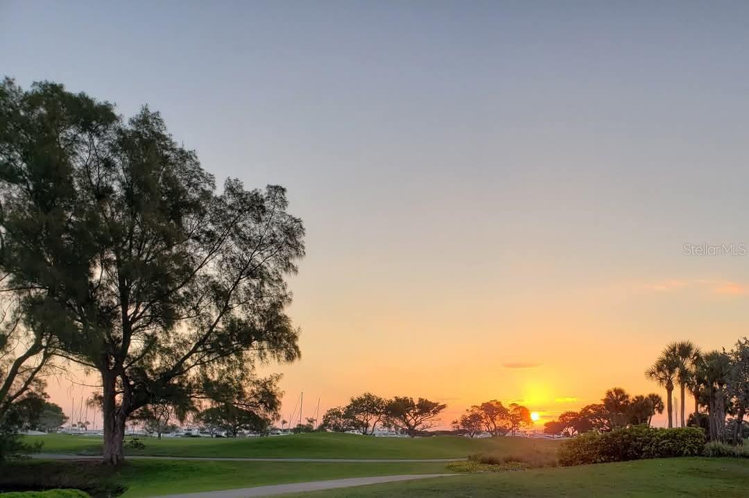 Listing photo id 18 for 2600 Harbourside Drive C-04