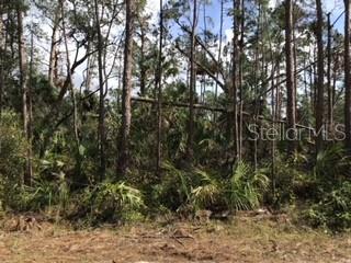 Listing Details for  Lolly Road , NORTH PORT, FL 34286