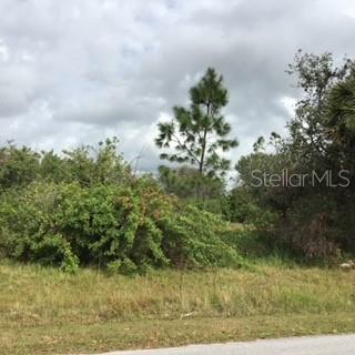 Listing Details for Perennial Road, NORTH PORT, FL 34291