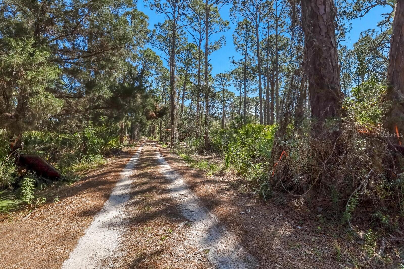 Listing photo id 1 for 228 Pine Ranch East Road