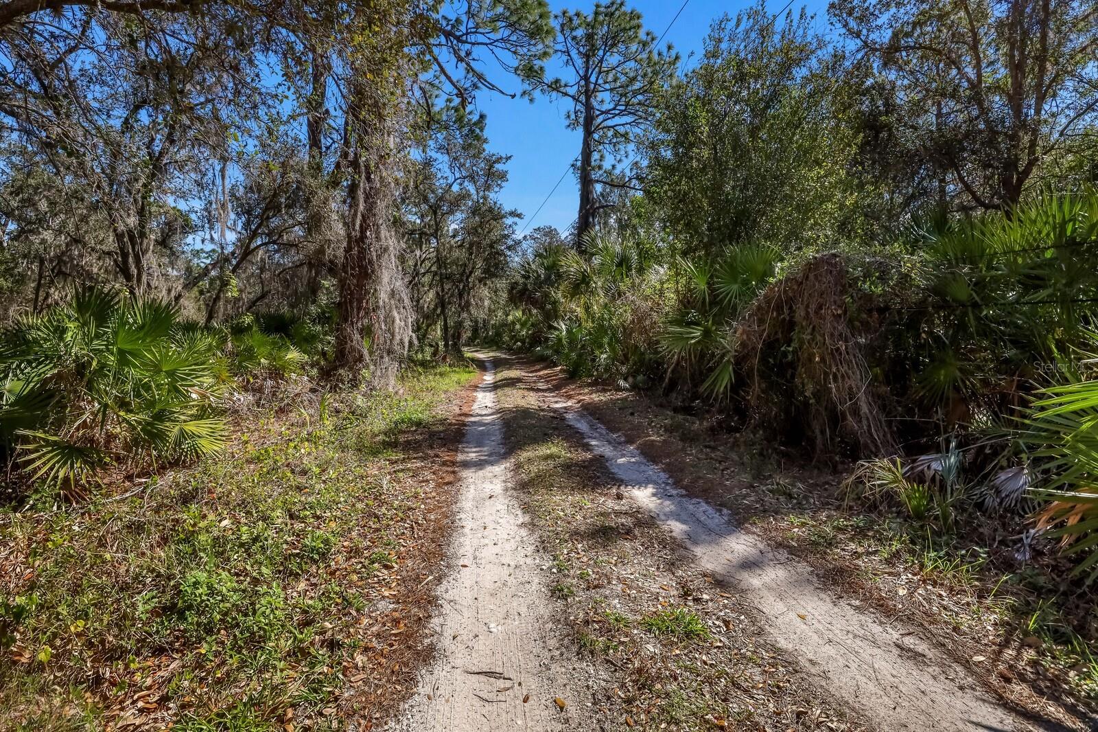 Listing photo id 2 for 228 Pine Ranch East Road