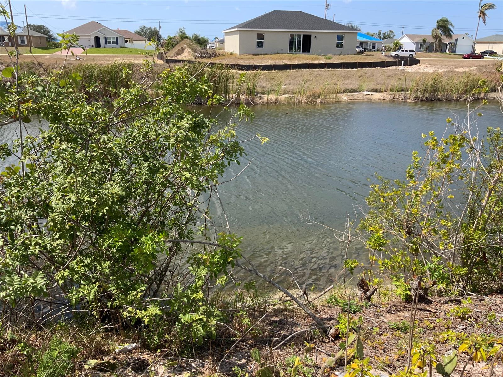 Image 6 of 7 For 1708 6th Place