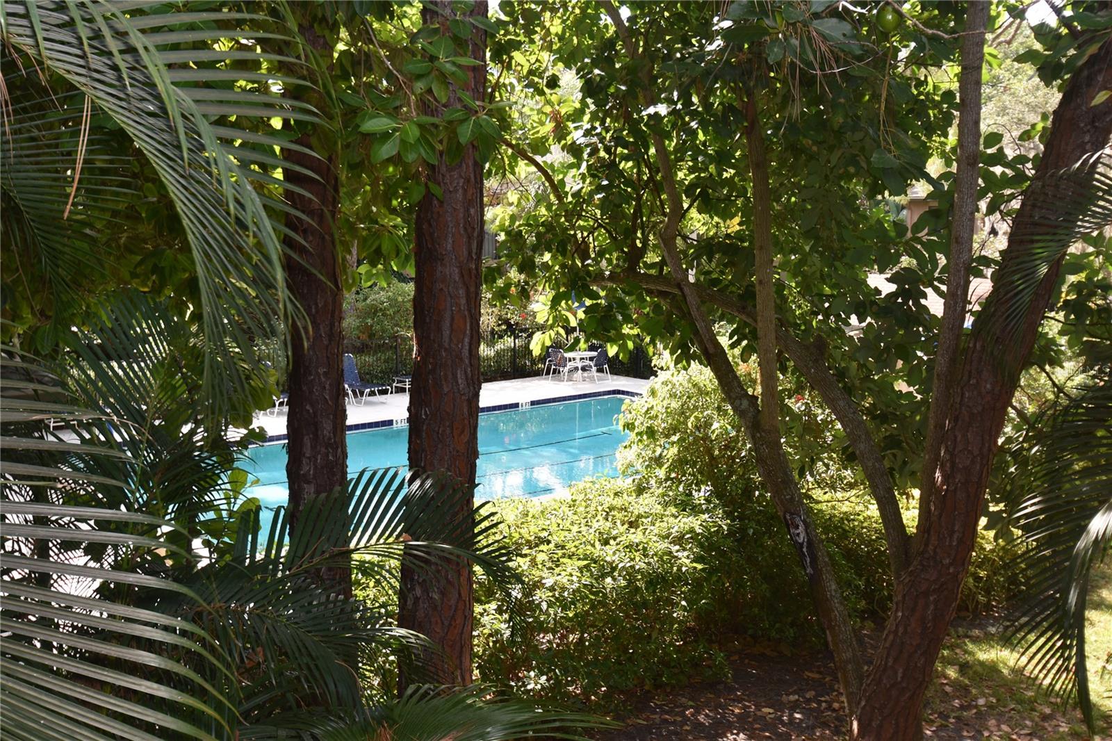 Image 7 of 26 For 1709 Pelican Cove Road Gl446
