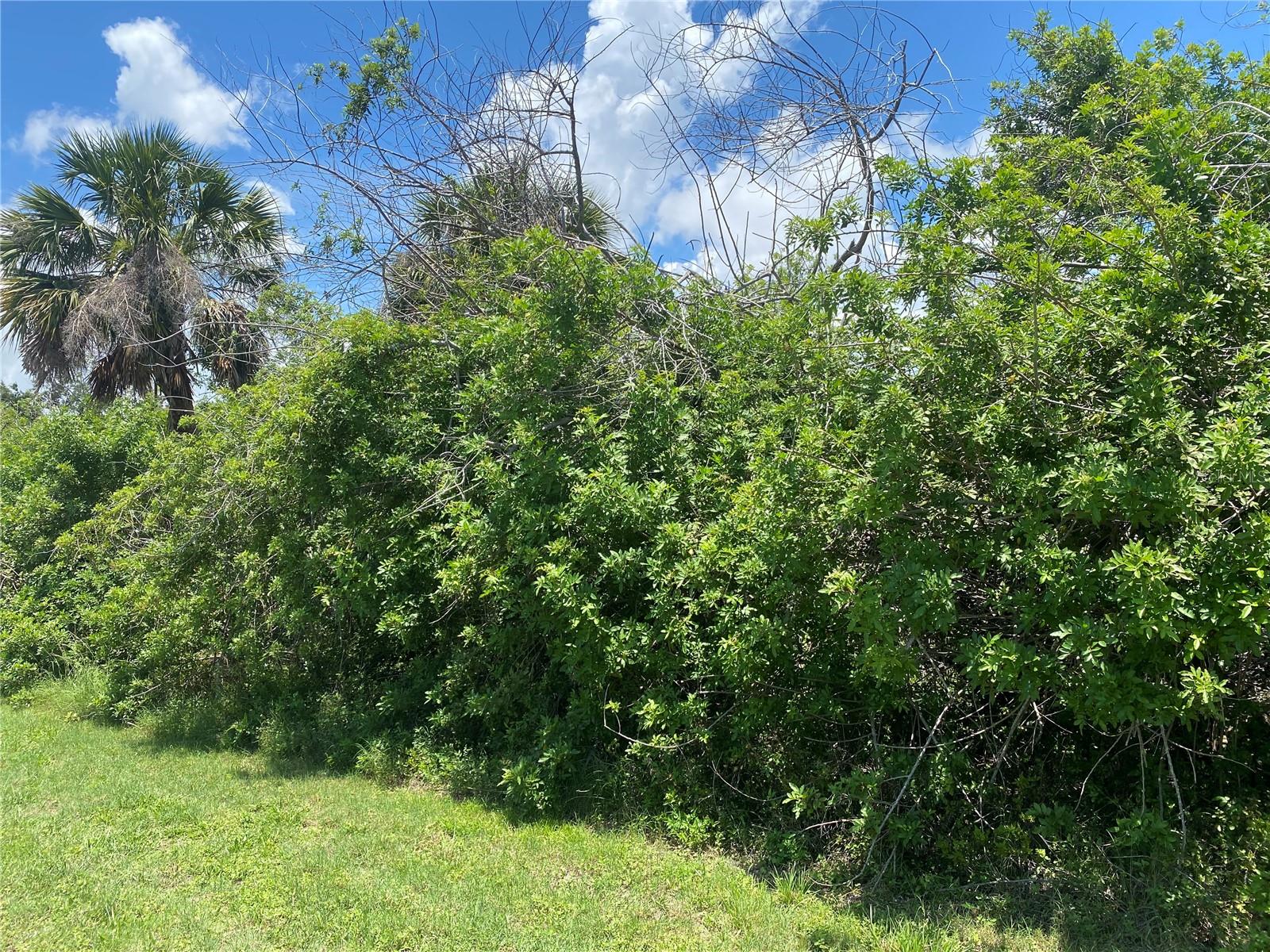Details for 12126 Munn Avenue, PORT CHARLOTTE, FL 33953