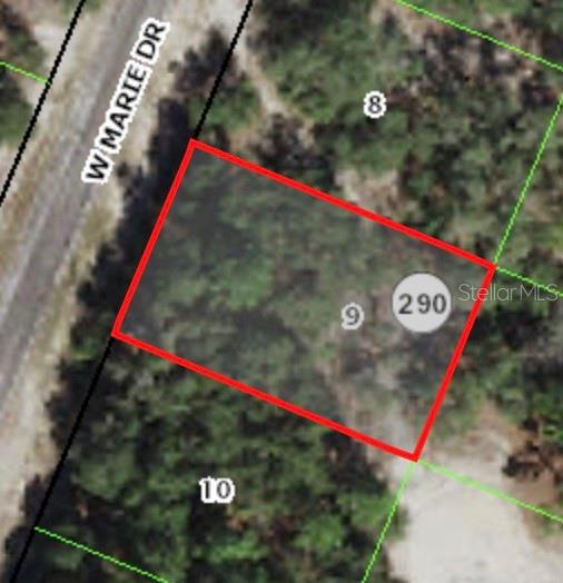 Listing Details for 3050 Marie Drive, CITRUS SPRINGS, FL 34433