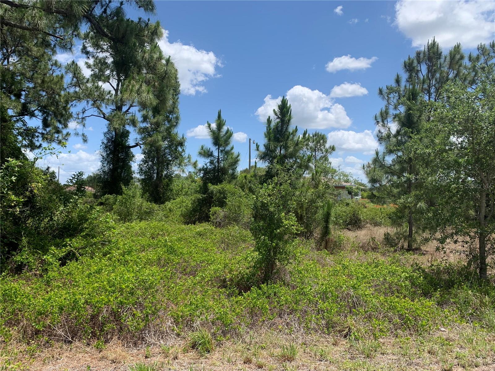 Details for 1249 Buell Avenue, FORT MYERS, FL 33913