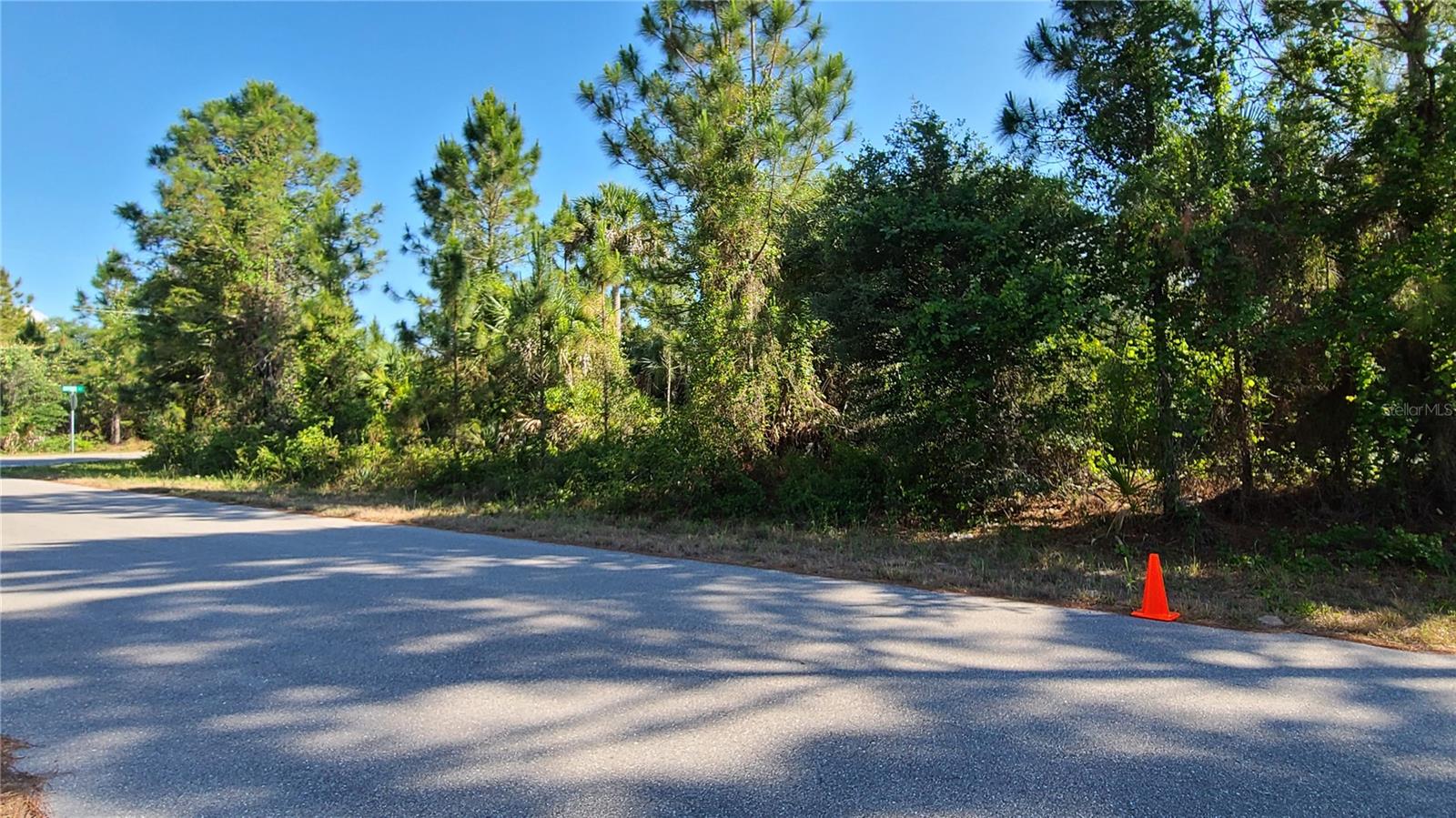 Image 8 of 11 For Patience Ave