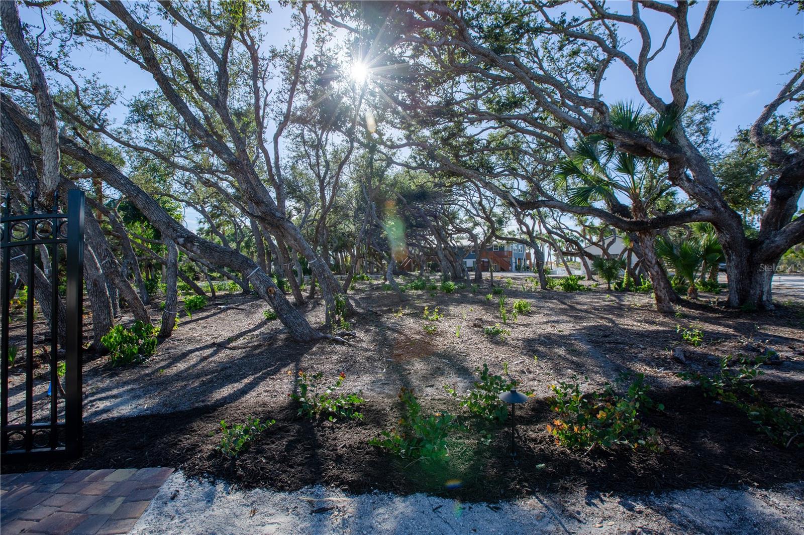 Listing photo id 25 for 7720 Manasota Key Road