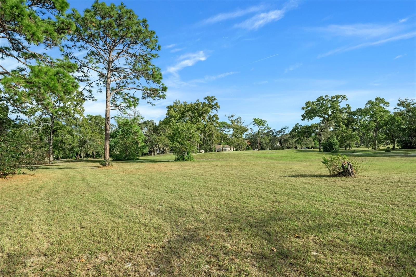 Listing photo id 55 for 10170 Loretto Street