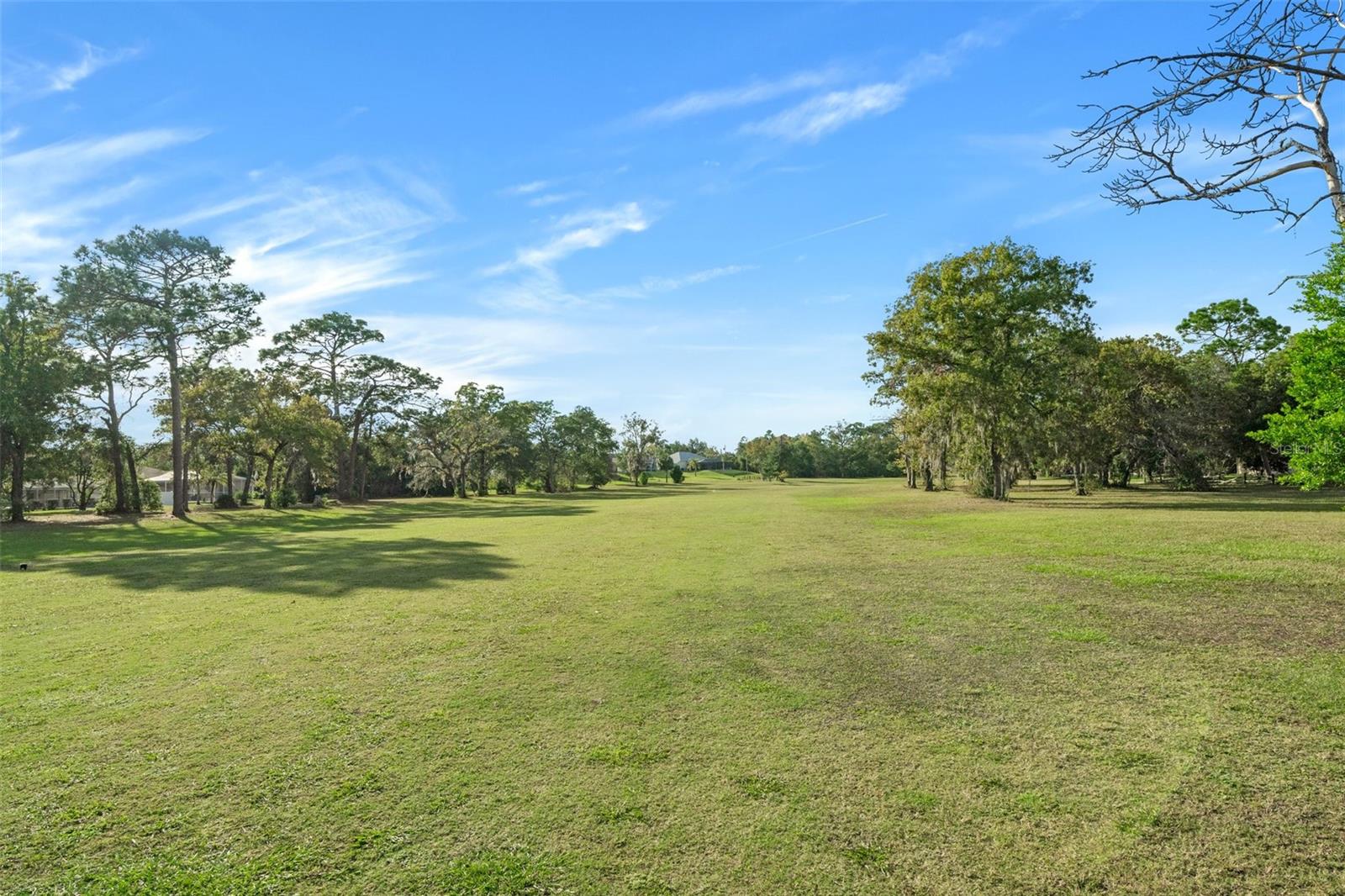 Listing photo id 56 for 10170 Loretto Street