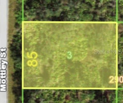 Listing Details for 1468 Mottley Street, PORT CHARLOTTE, FL 33953