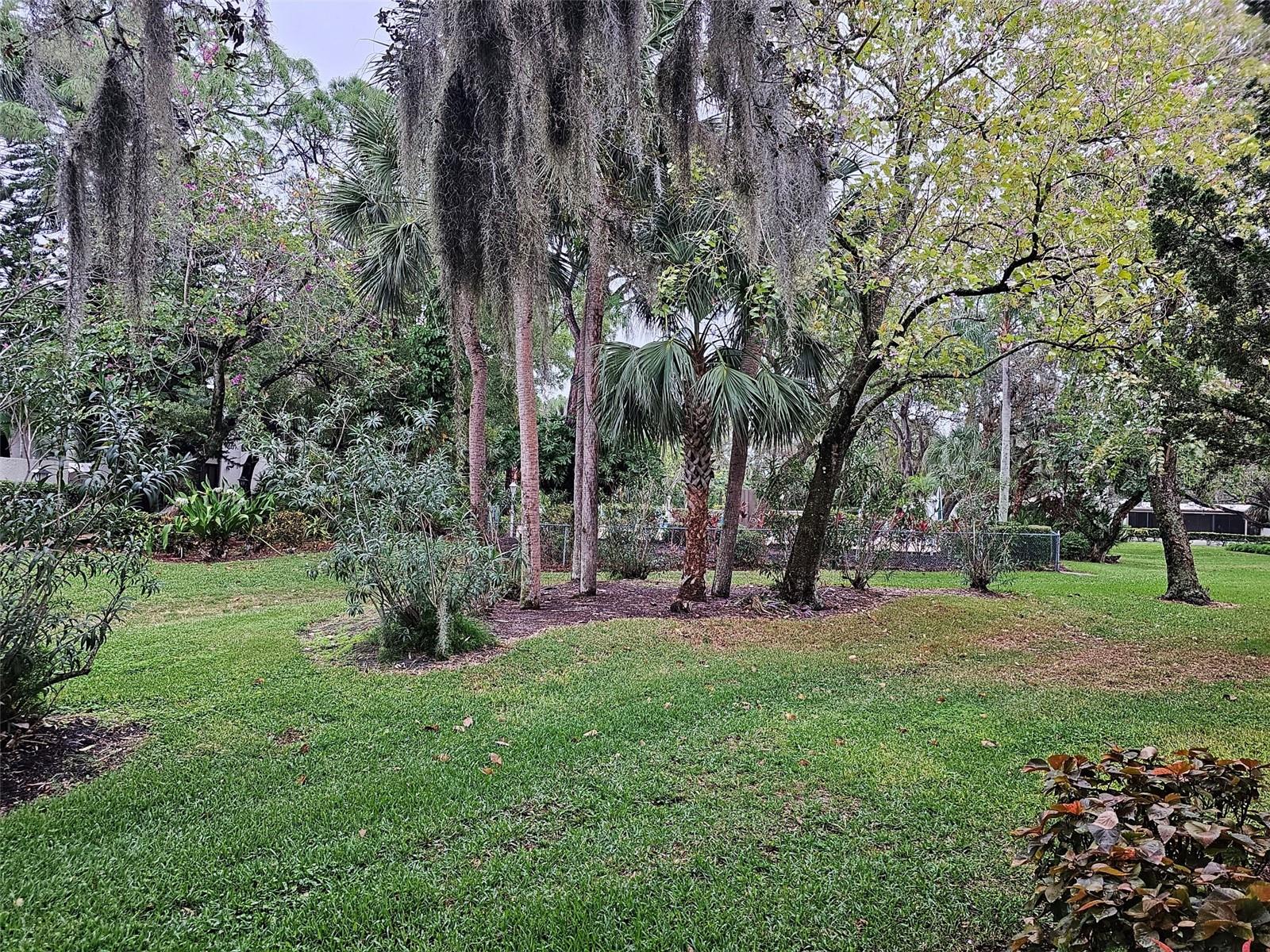 Image 33 of 41 For 409 Palm Tree Drive 409