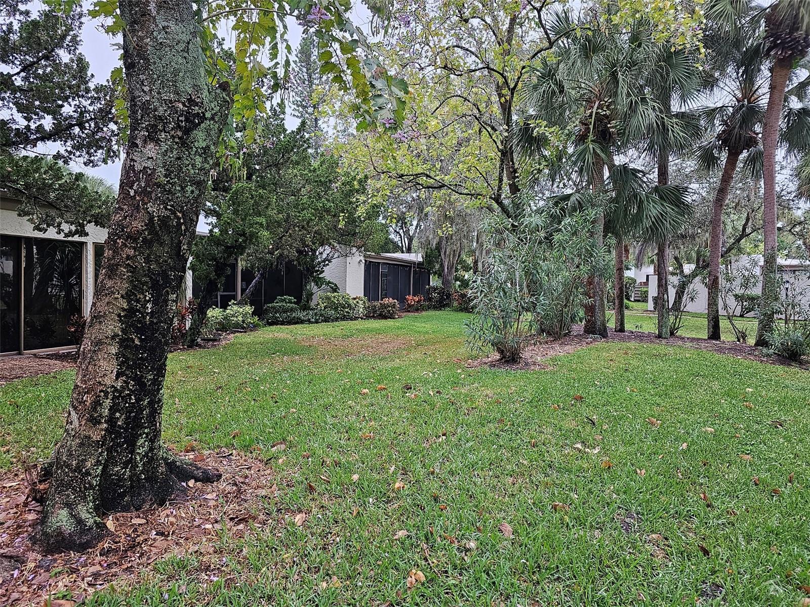 Image 36 of 41 For 409 Palm Tree Drive 409