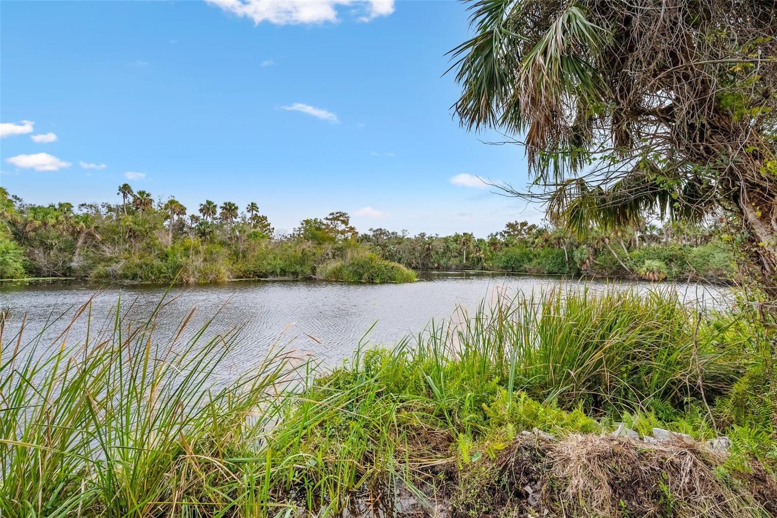 Image 8 of 60 For 32971 Serene Drive