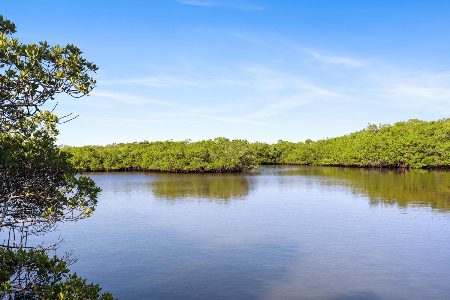 Image 52 of 54 For 1654 Starling Drive 201