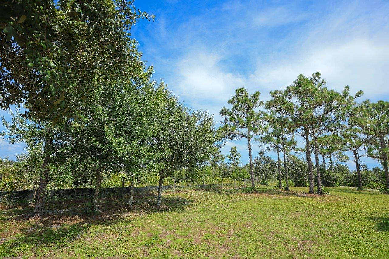 Listing photo id 9 for 34452 Singletary Rd