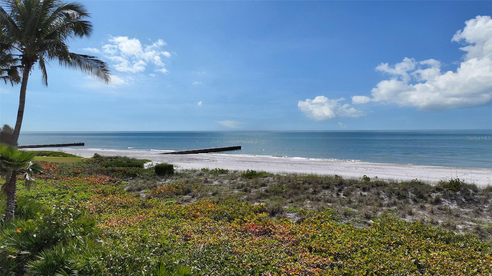 Listing photo id 38 for 2333 Gulf Of Mexico Drive 1b1