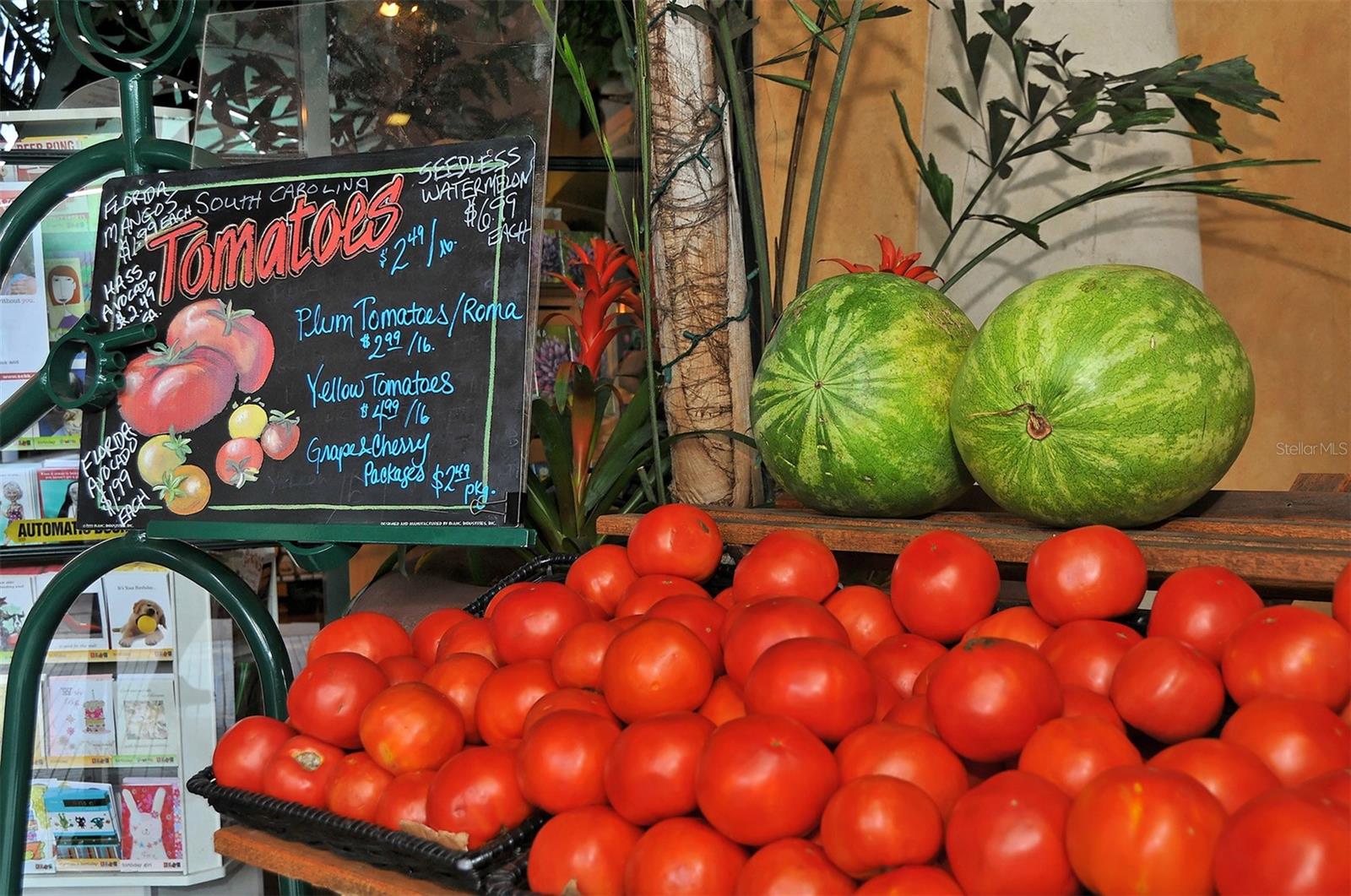 Image 68 of 73 For 1747 Waldemere Street