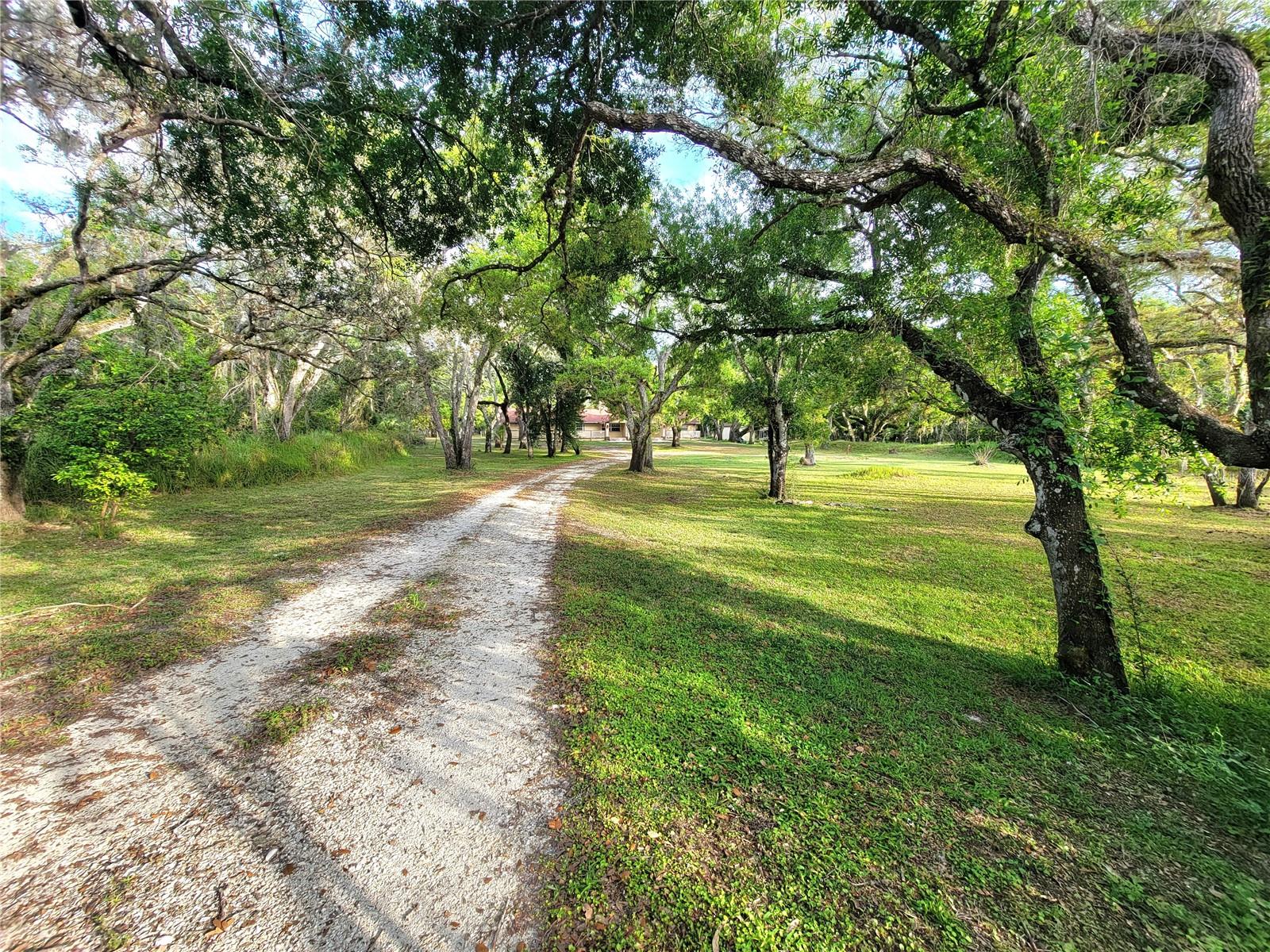 Image 42 of 49 For 36442 Singletary Road