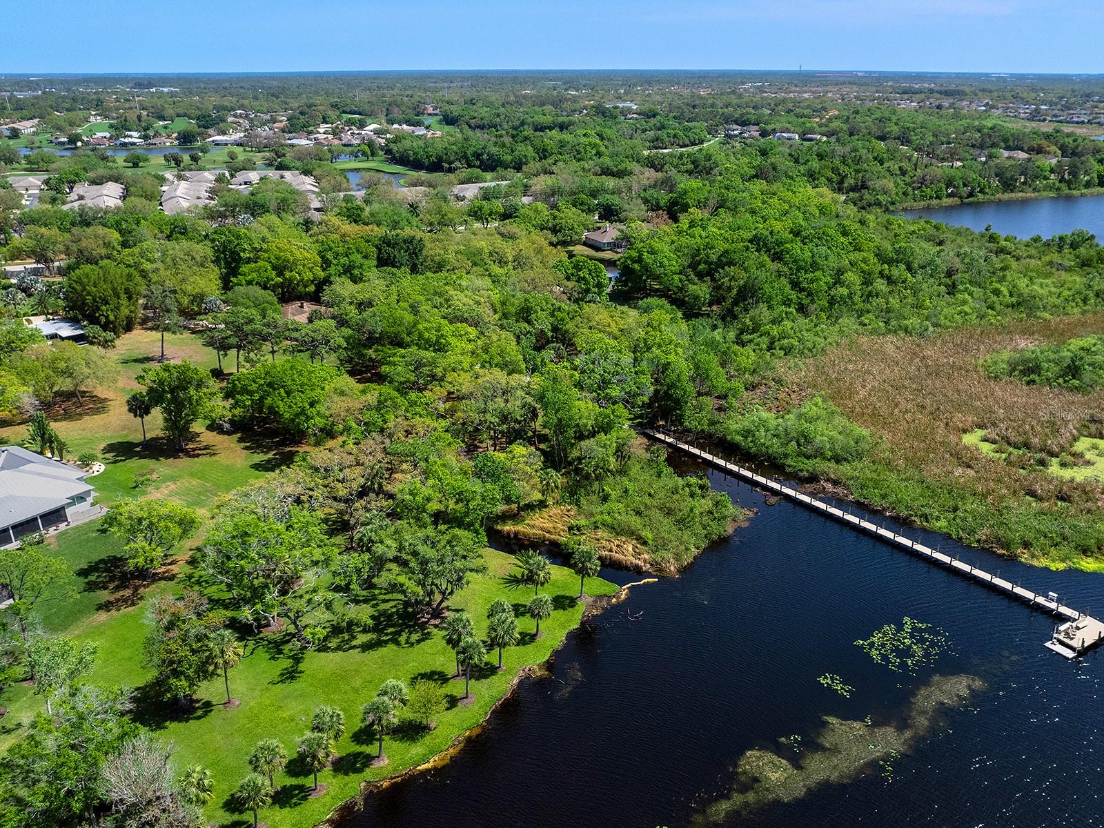 Listing photo id 4 for Braden River Road