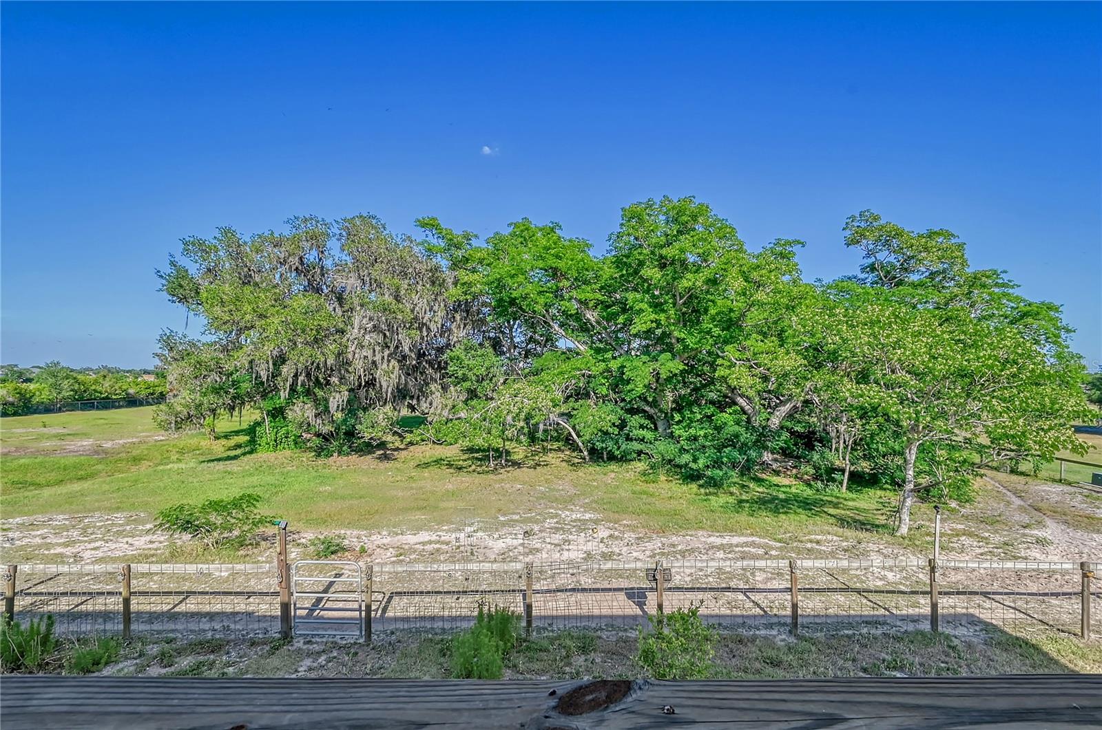 Listing photo id 24 for 651 Deer Hammock Road