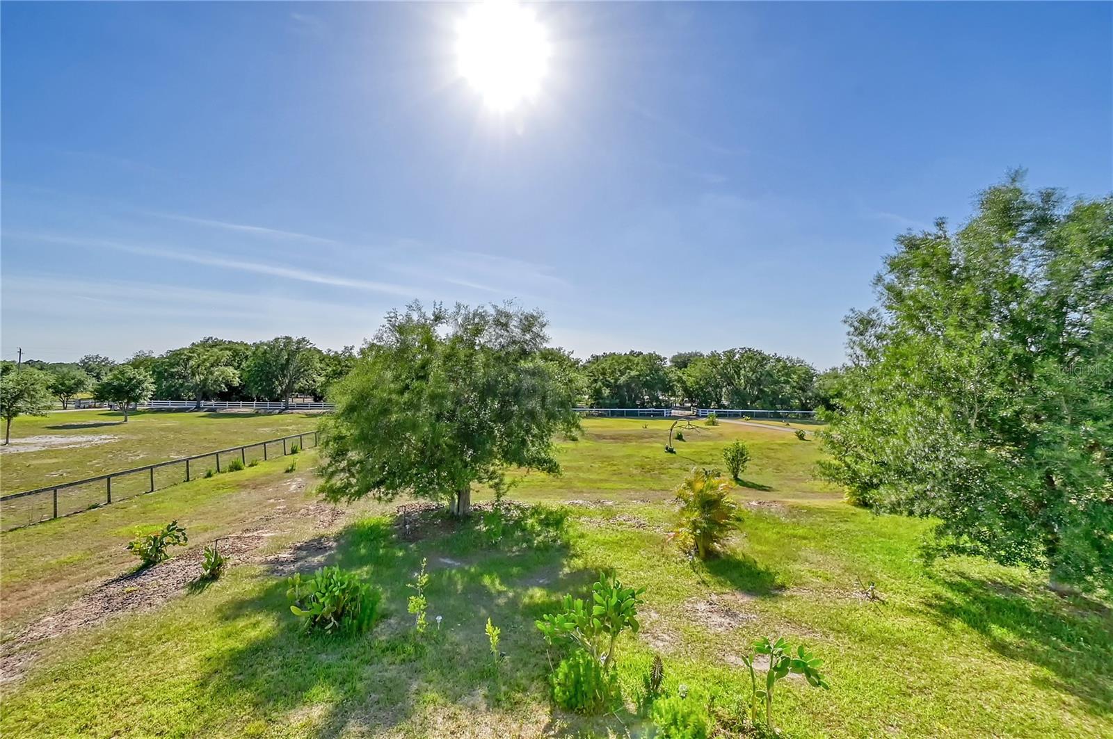 Listing photo id 29 for 651 Deer Hammock Road