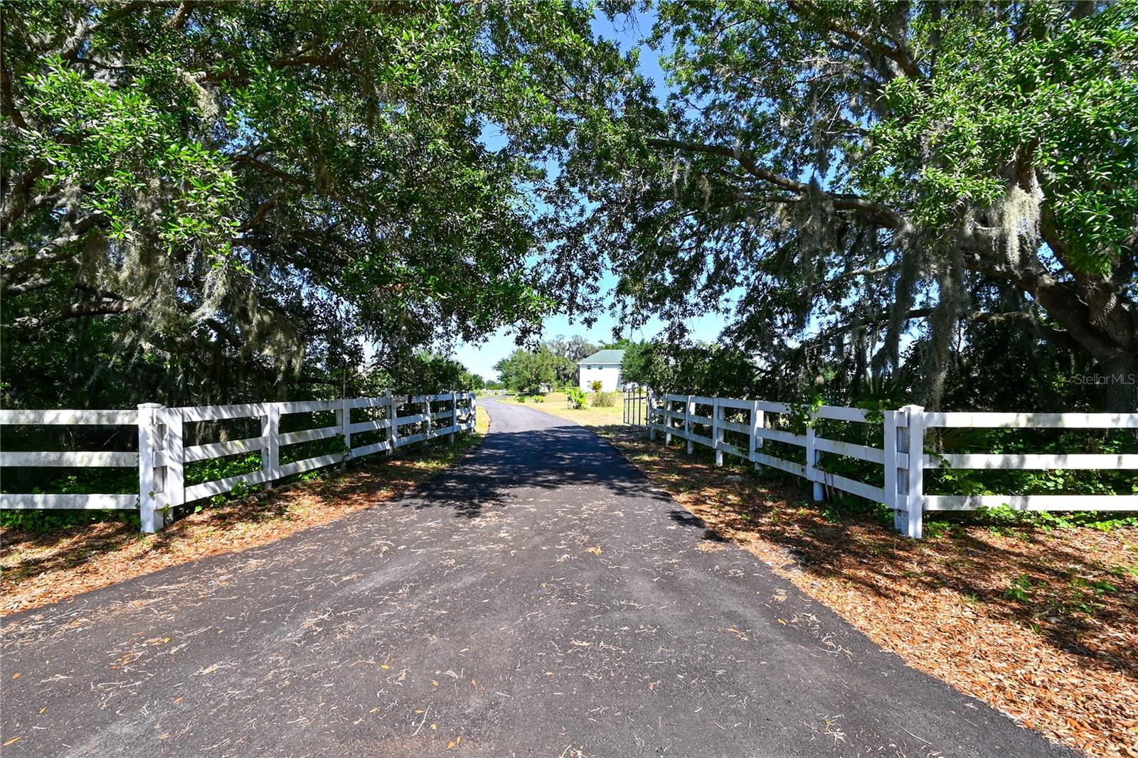 Listing photo id 73 for 651 Deer Hammock Road