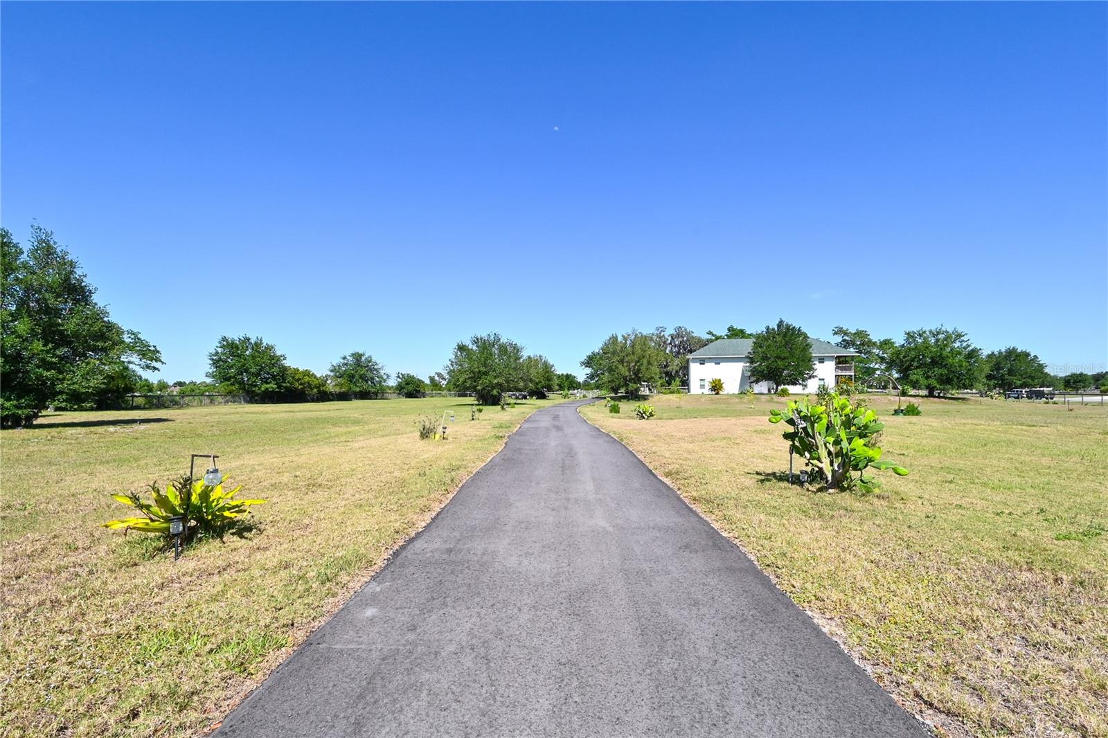 Listing photo id 74 for 651 Deer Hammock Road