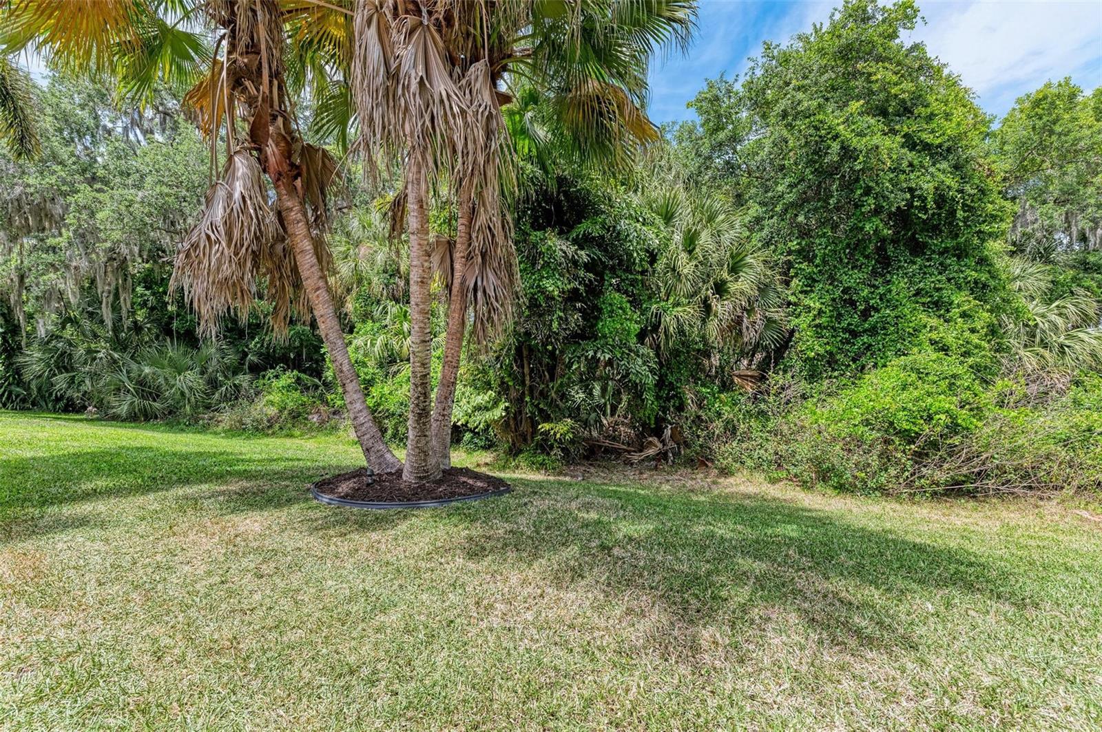 Listing photo id 32 for 3763 Eagle Hammock Drive