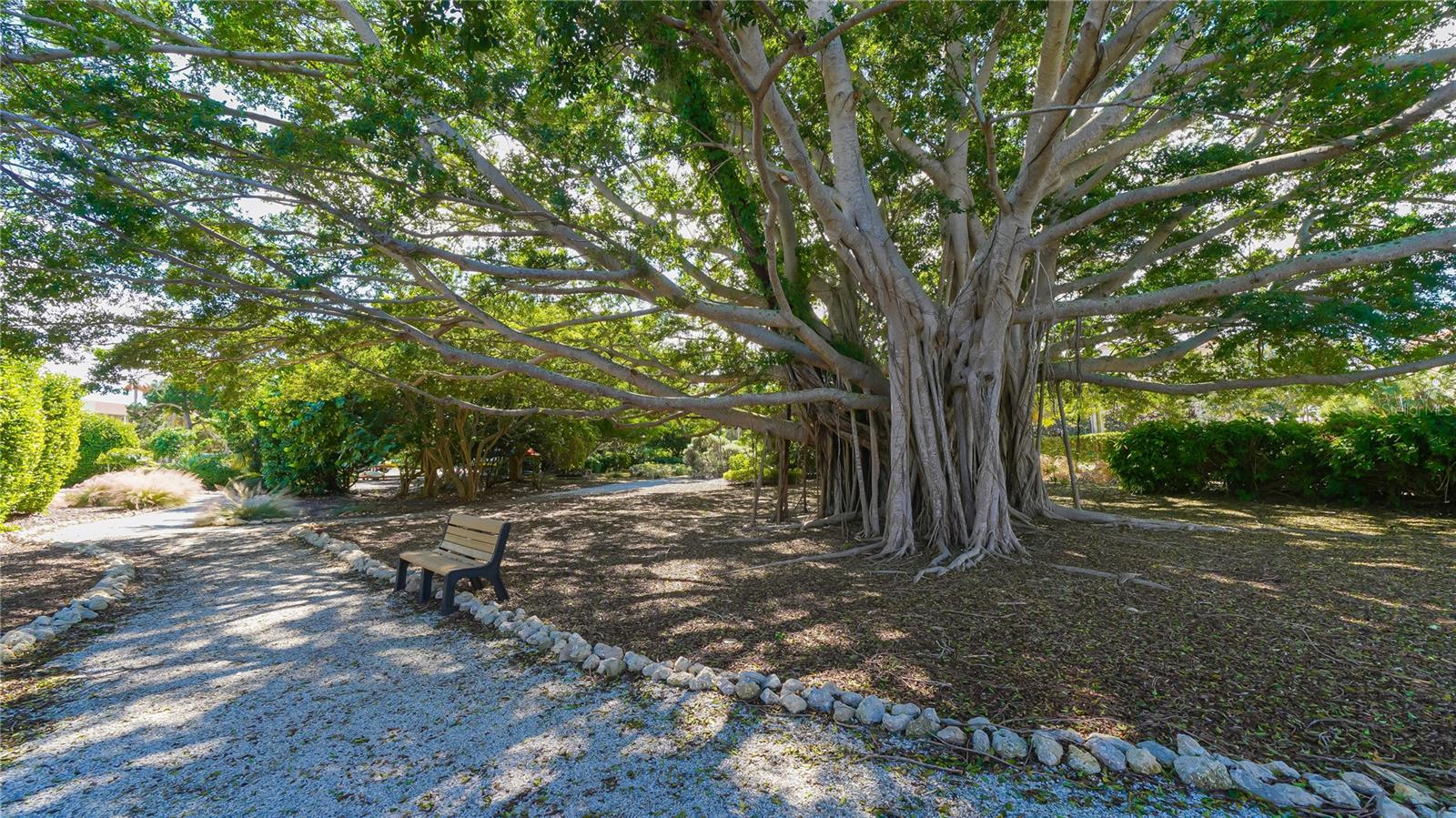 Image 62 of 67 For 4900 Gulf Of Mexico Drive 204