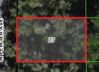 Listing Details for 9471 Pewter Avenue, DUNNELLON, FL 34434