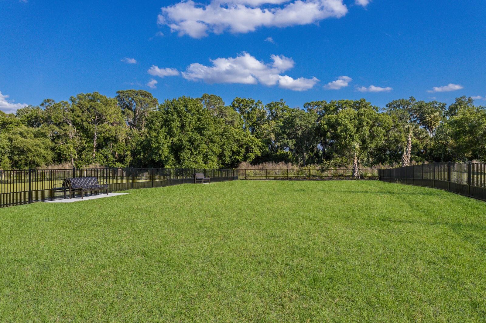 Image 93 of 93 For 13506 Saw Palm Creek Trail