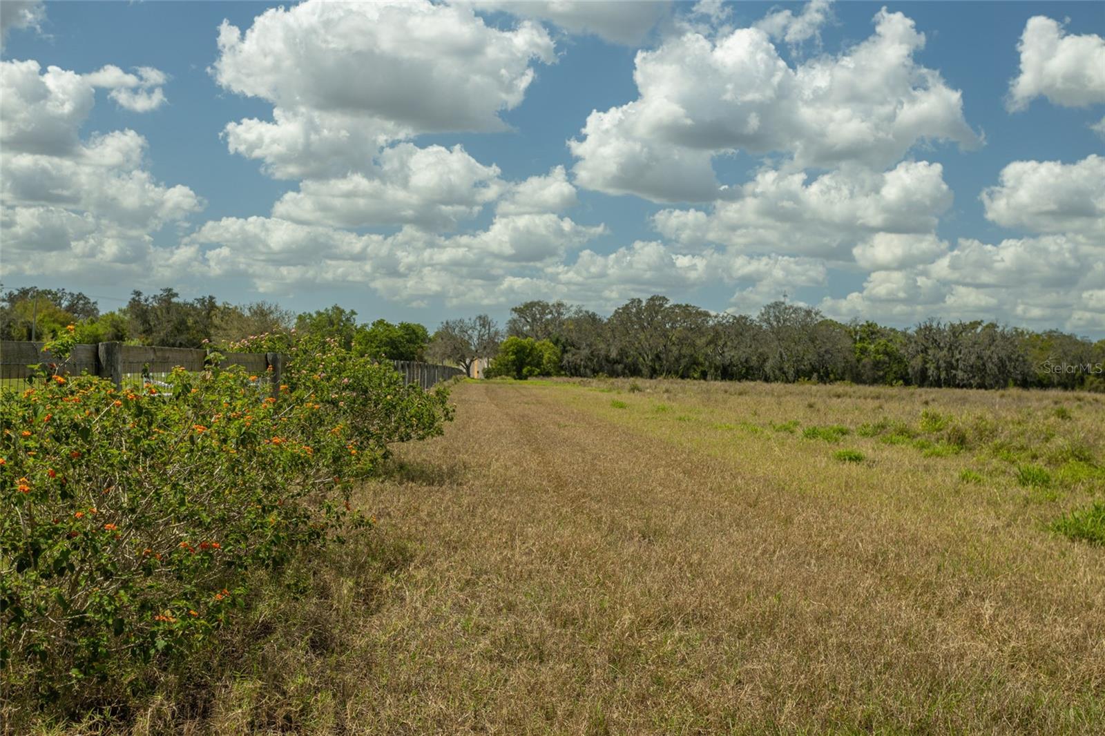 Listing photo id 7 for 26315 Sr-64 E