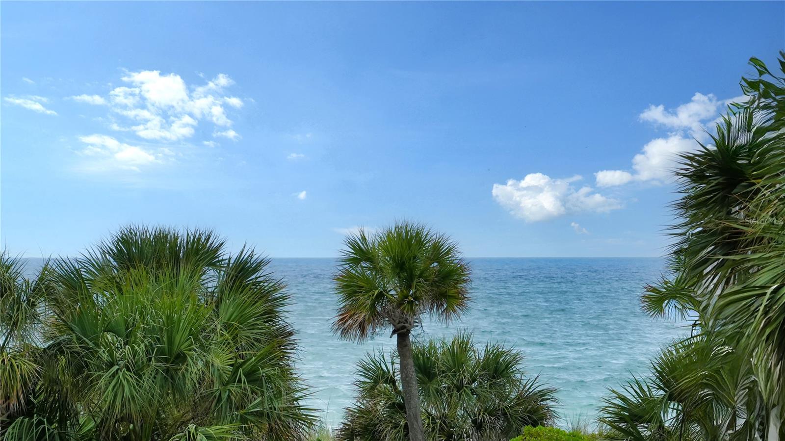 Listing photo id 4 for 1241 Gulf Of Mexico Drive 105