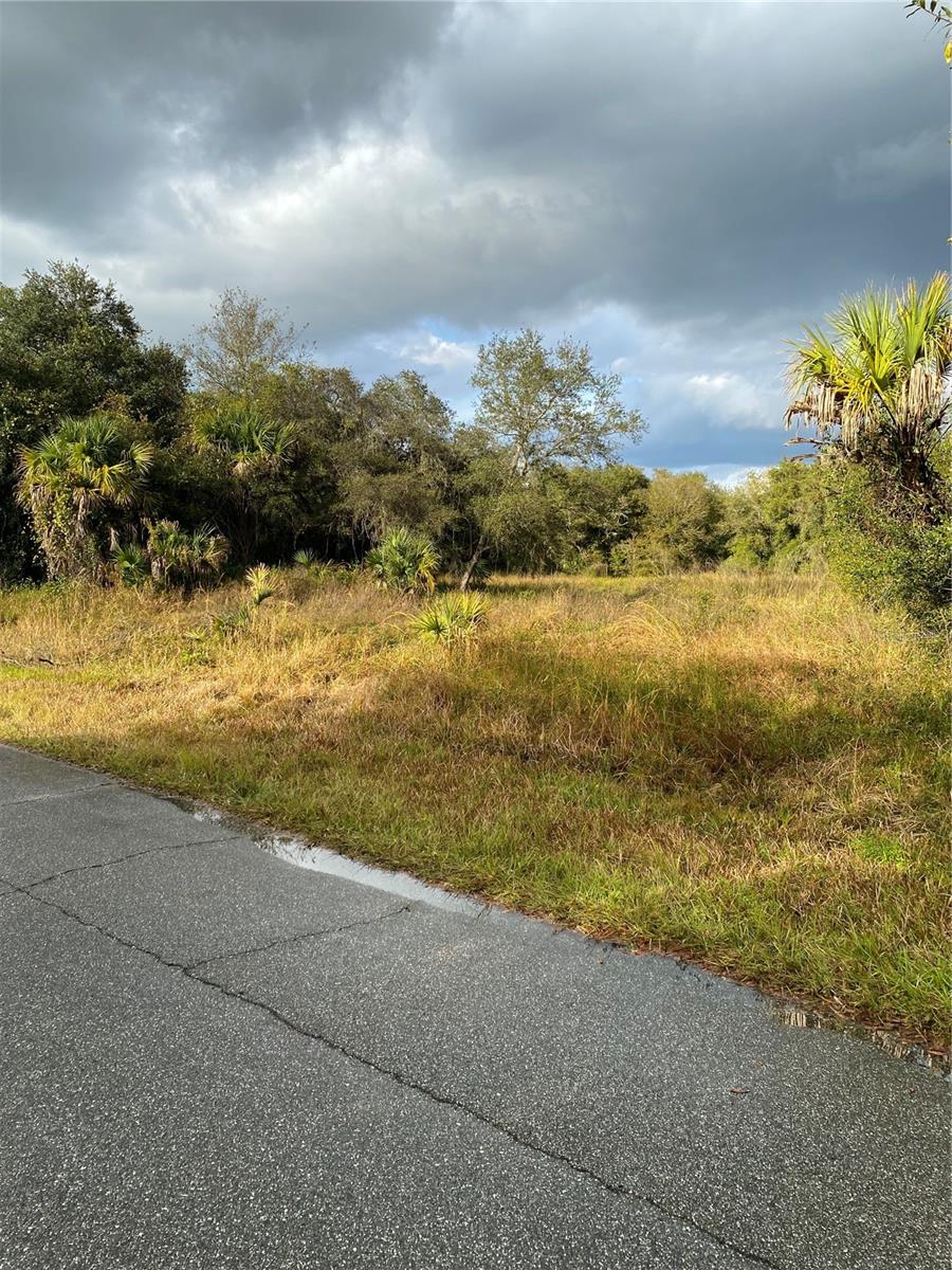 Listing Details for Jensley Avenue, NORTH PORT, FL 34286