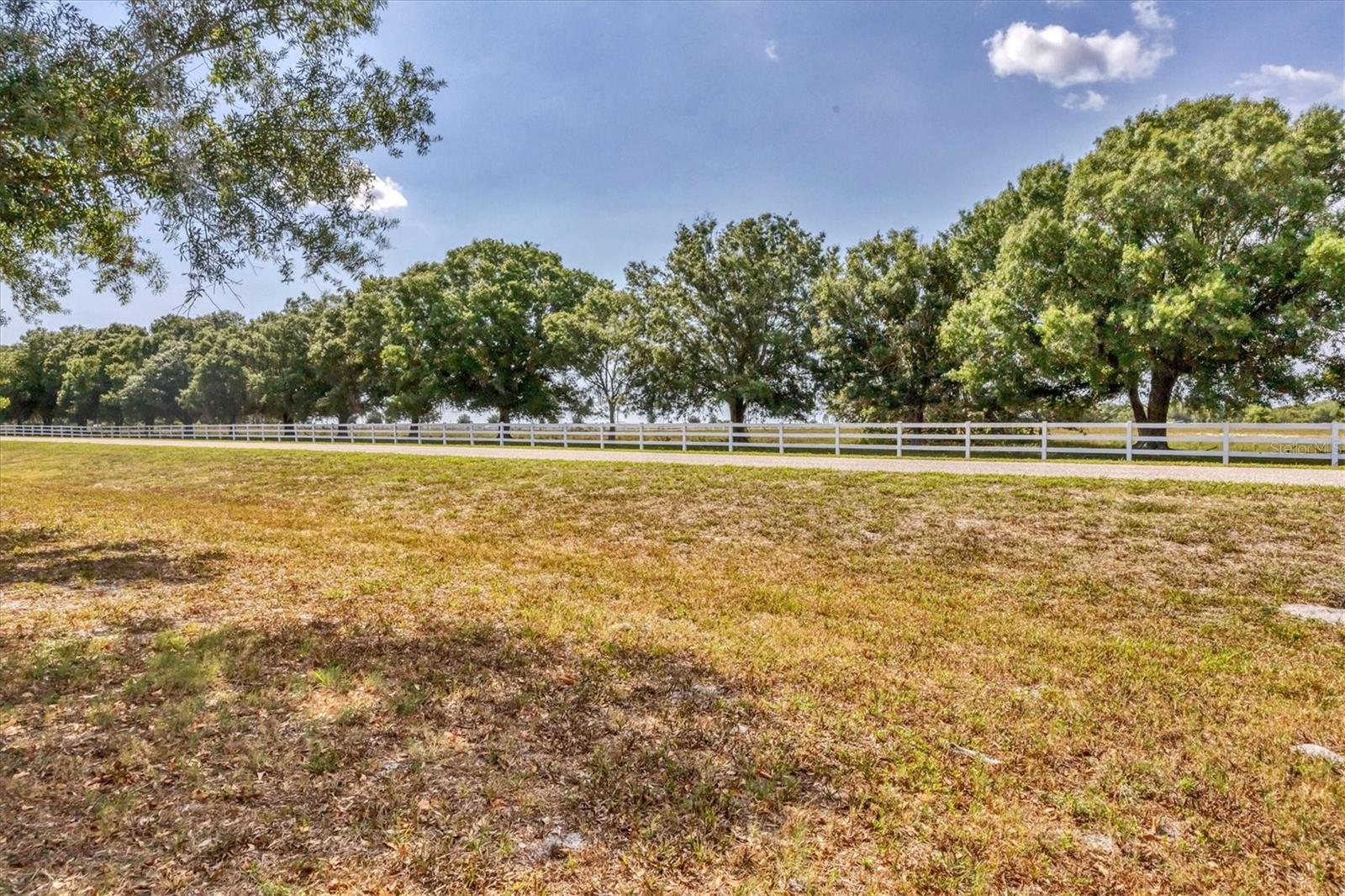 Image 8 of 33 For 15884 Cutting Horse Trail