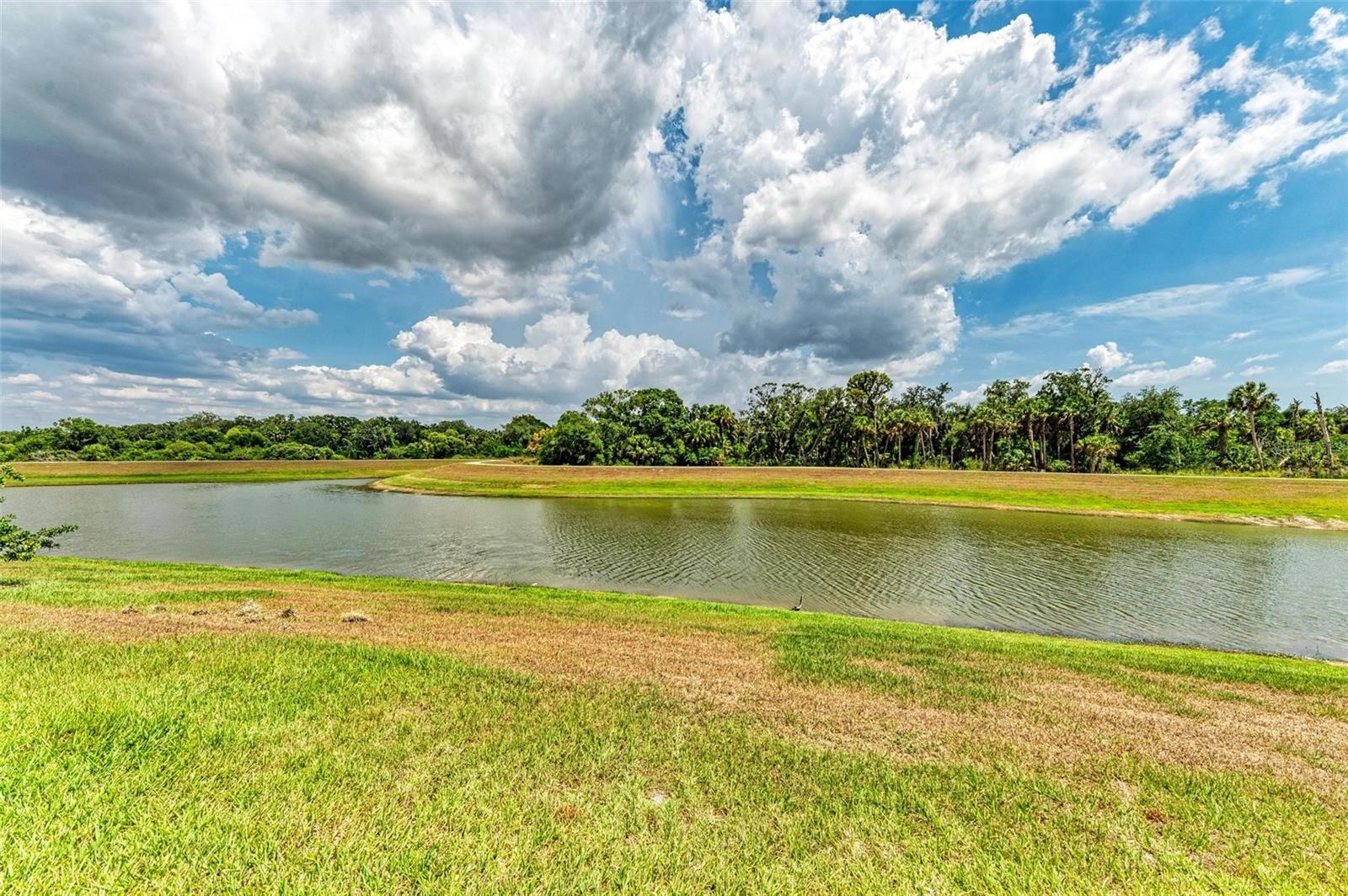 Listing photo id 47 for 14359 Skipping Stone Loop