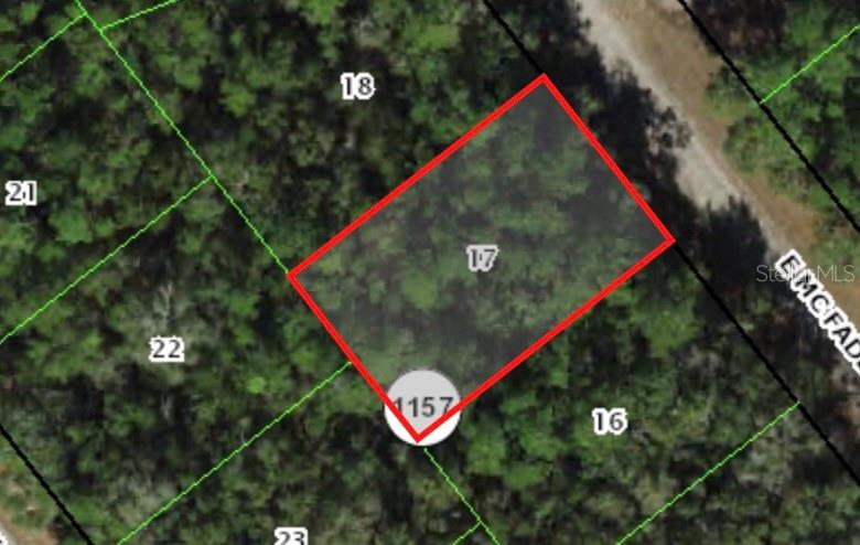 Listing Details for 127 Mcfaddin Place, DUNNELLON, FL 34434