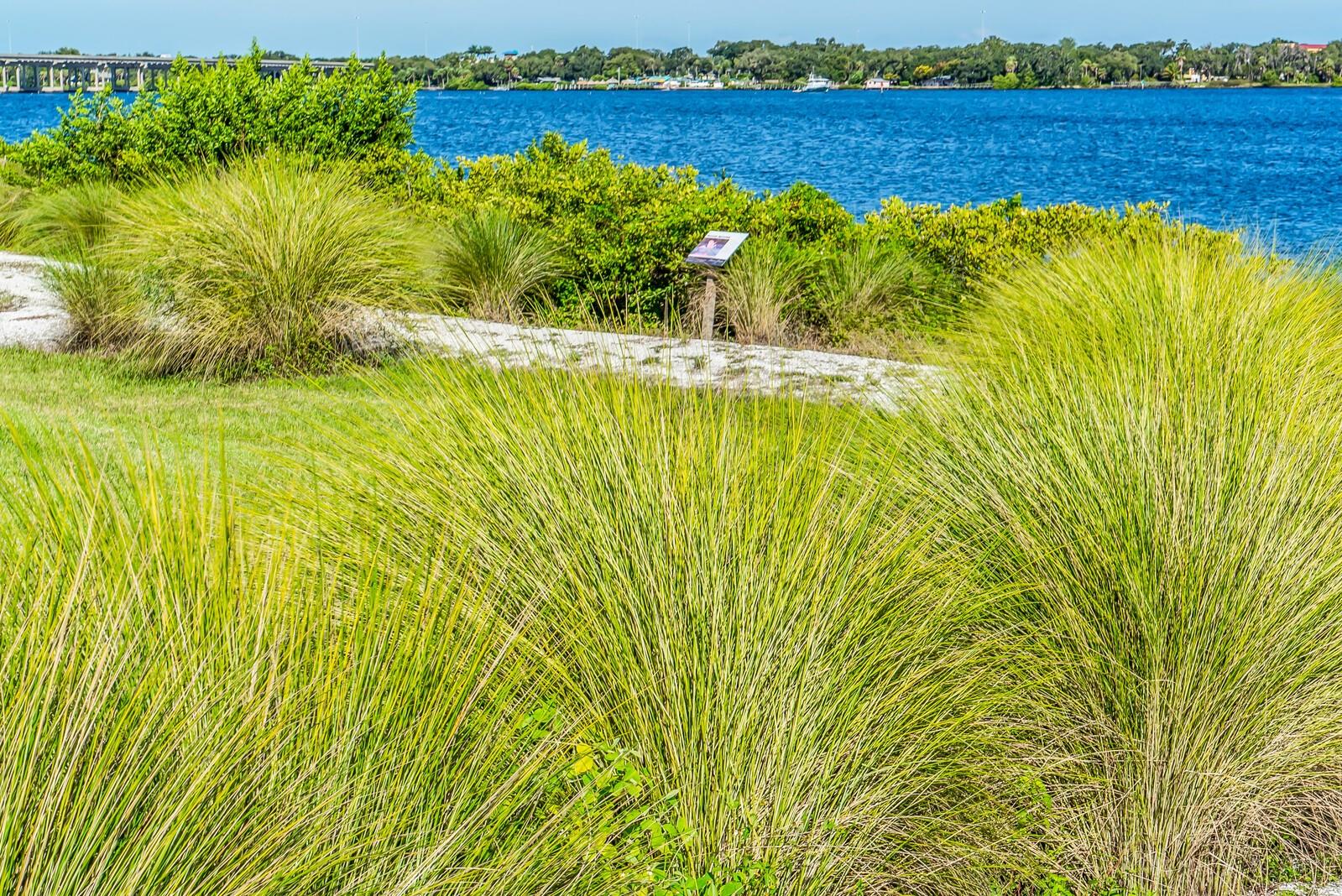 Image 75 of 94 For 5209 Lake Overlook Avenue