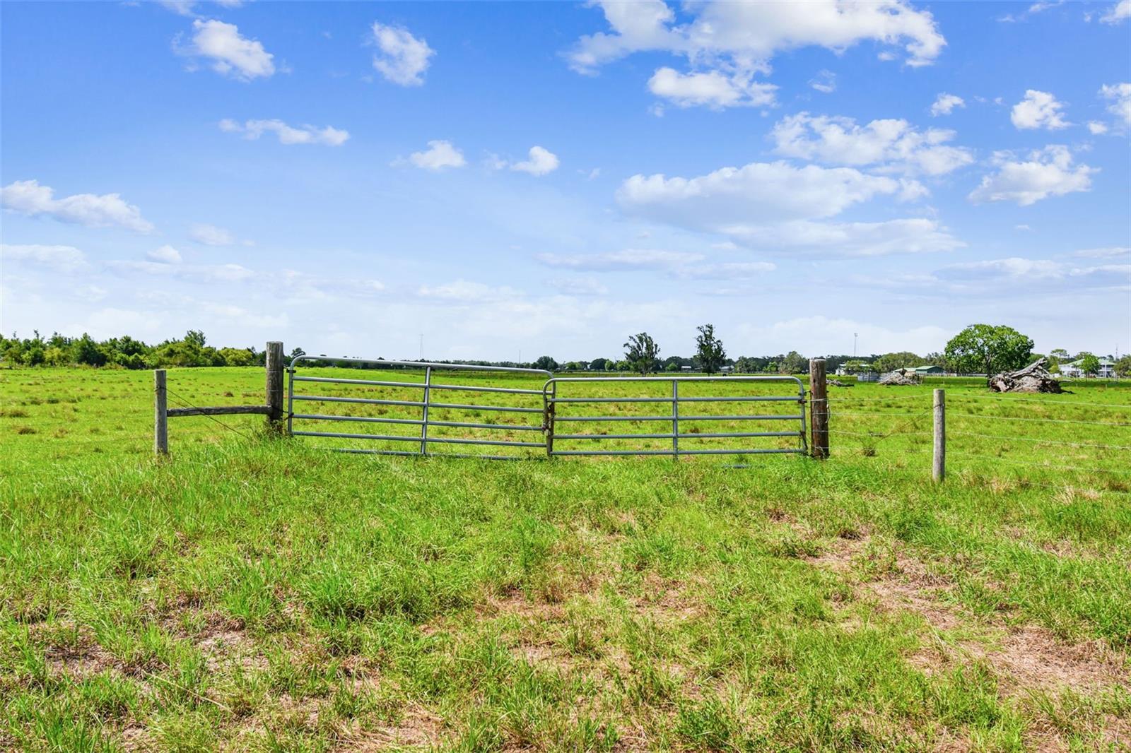 Image 8 of 21 For 35651 Singletary Road