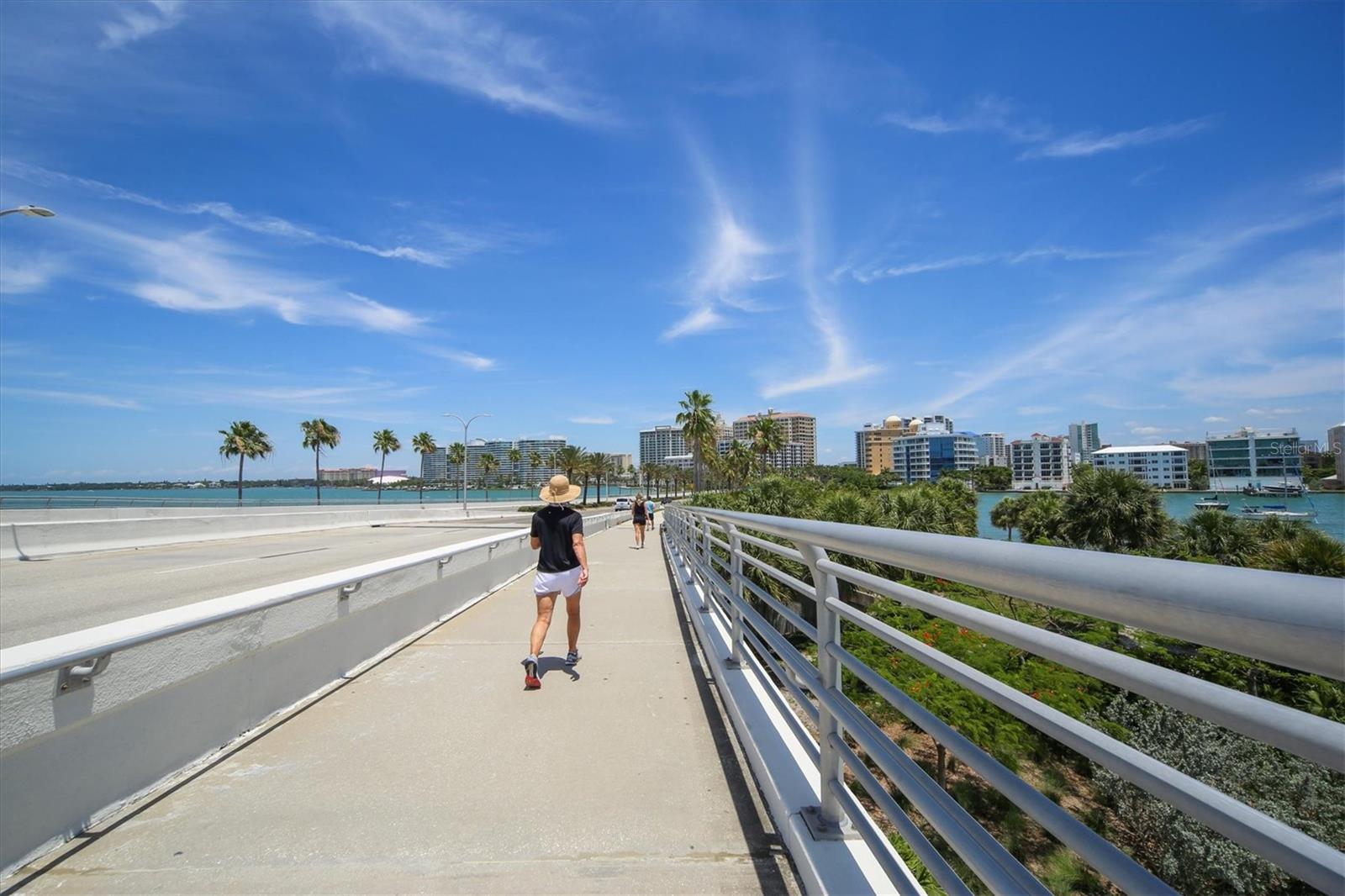 Image 77 of 85 For 750 Tamiami Trail 719