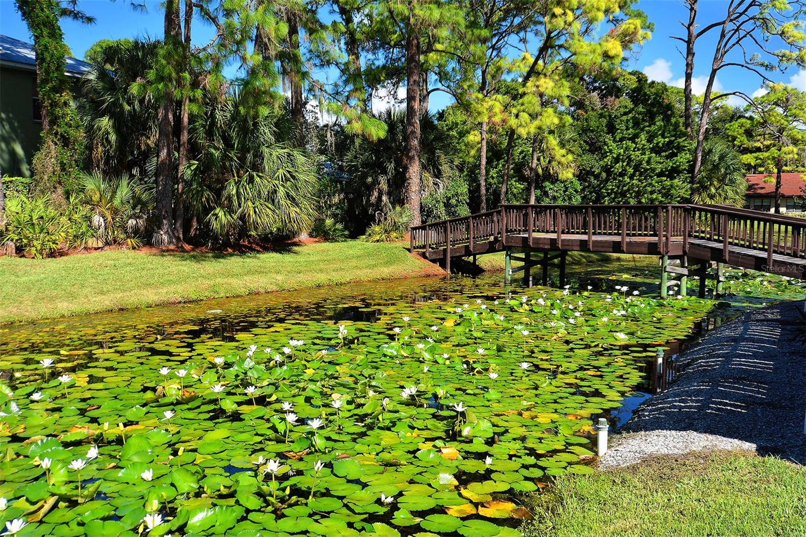 Image 53 of 60 For 3728 Pinecone Court 164