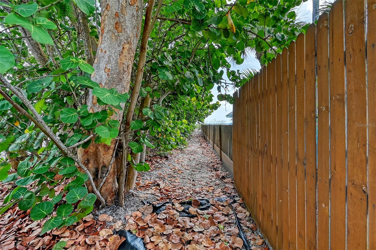 Image 87 of 100 For 5444 Gulf Of Mexico Drive