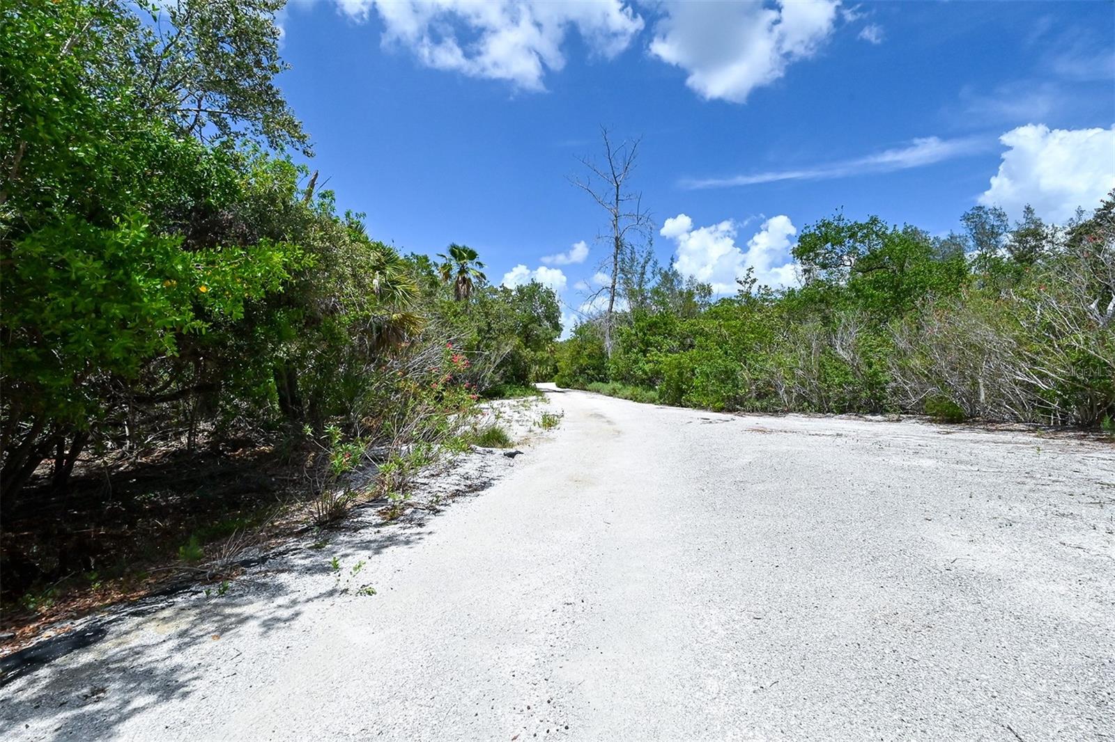 Image 13 of 35 For 5440 Gulf Of Mexico Drive