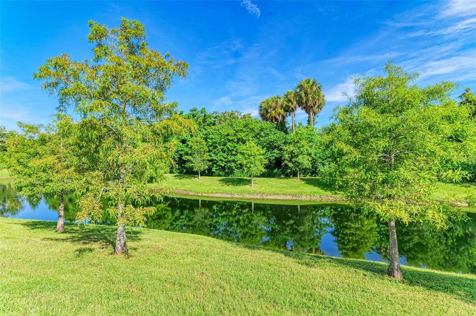 Image 38 of 44 For 5420 Spanish Moss Cove