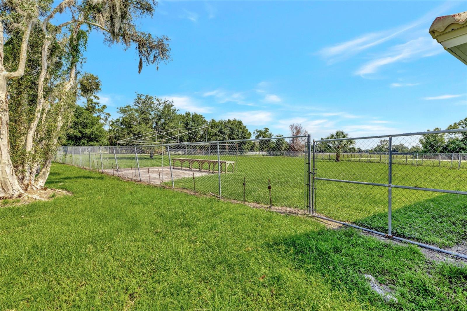 Listing photo id 50 for 7049 Myakka Valley Trail