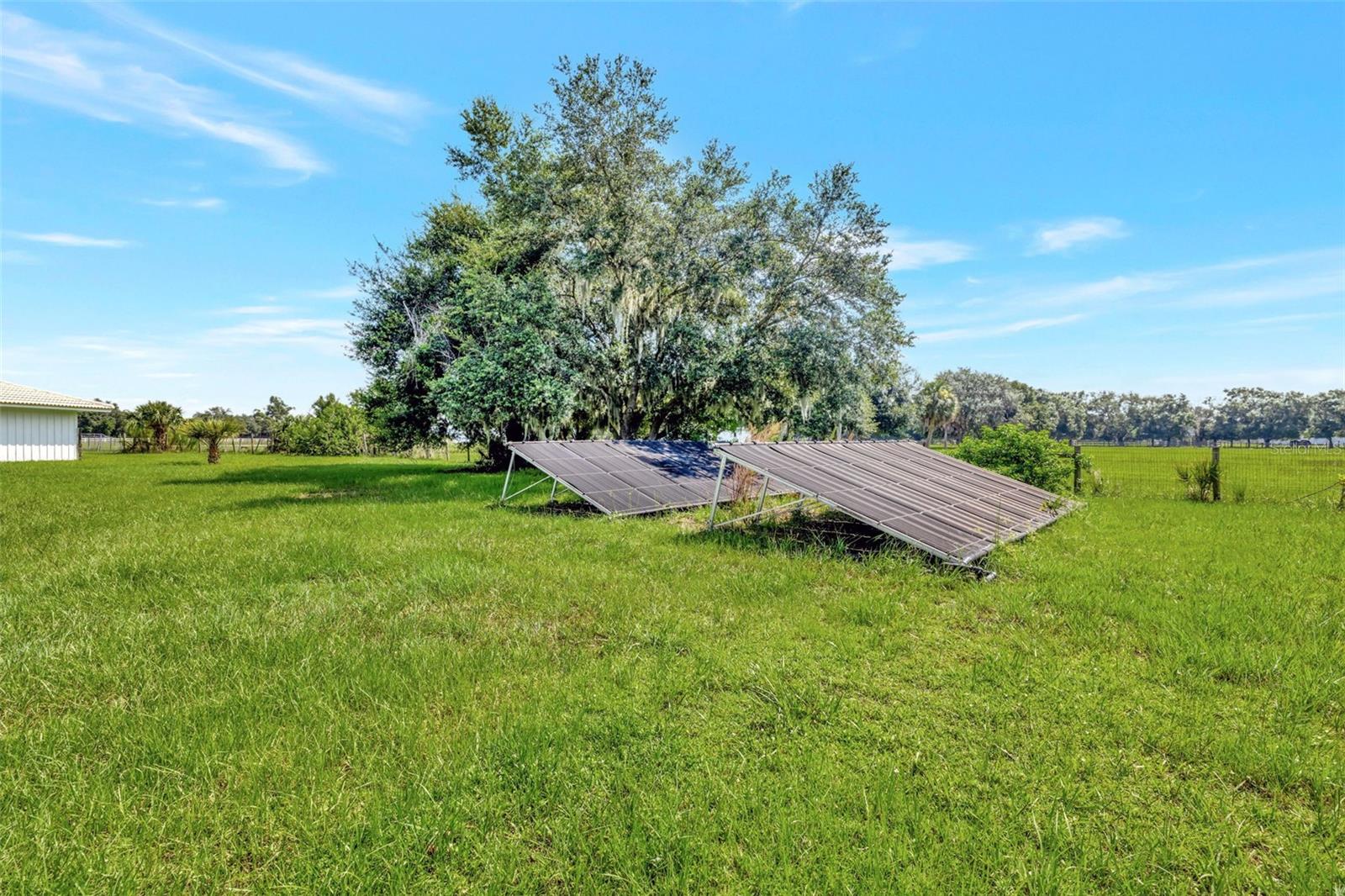 Listing photo id 51 for 7049 Myakka Valley Trail