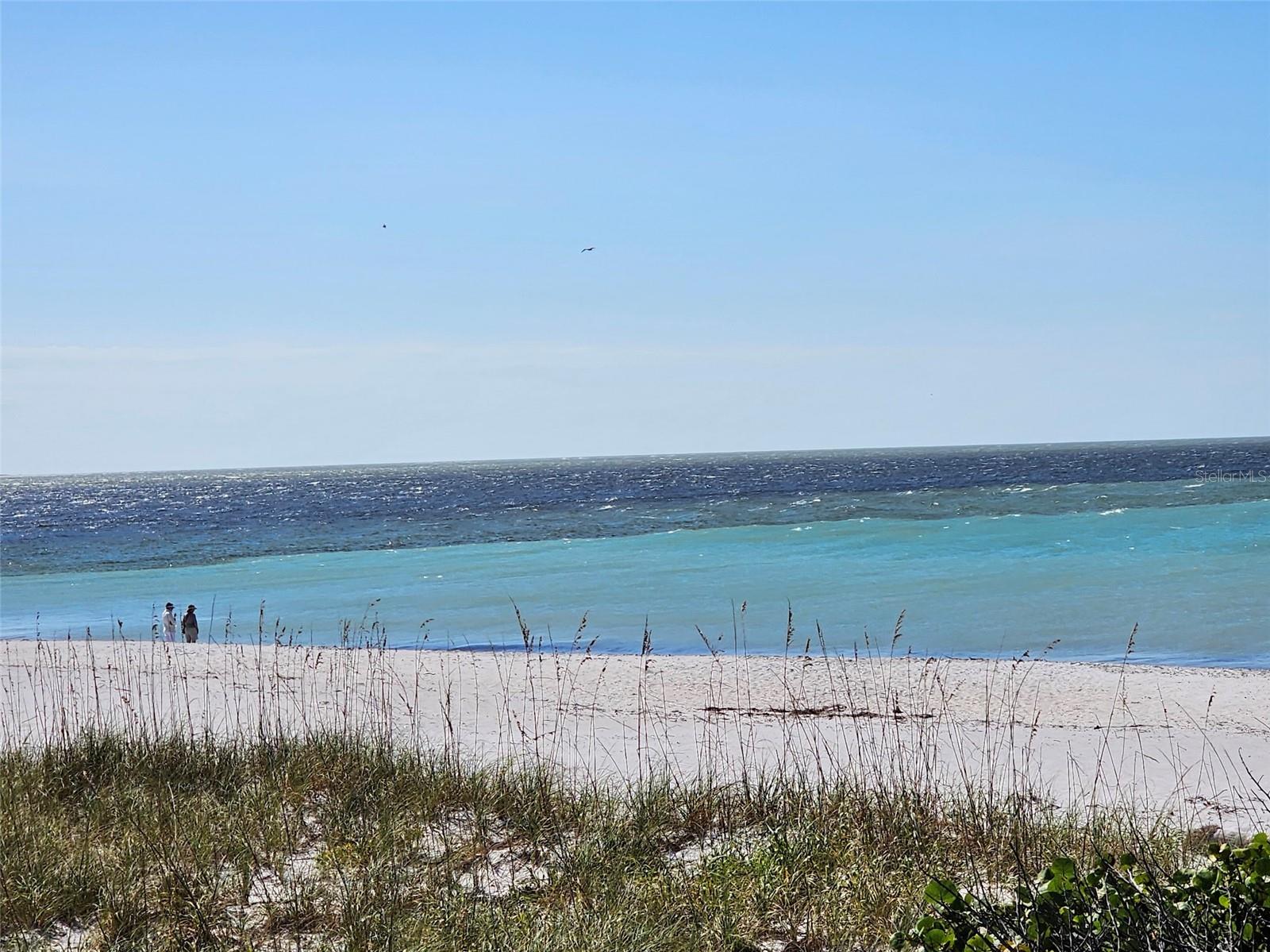 Image 3 of 4 For 13065 Proctor Avenue